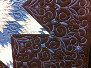 lone1 Lonestar quilt